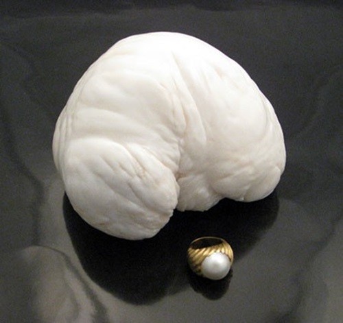 Pearl of Lao Tzu