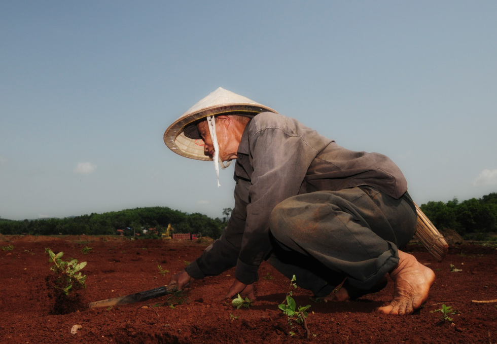 Figure 6: While mining takes place in the background, a farmer plants the first seeds of rice on his newly reclaimed land. Photo: Richard W. Hughes