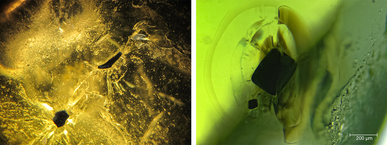 Crystal inclusions in peridot from Vietnam’s Central Highlands