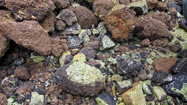 Peridot-bearing nodules at Bien Ho mine