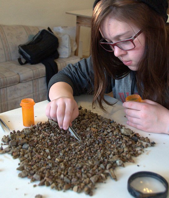 “Quincy Picking Sapphires,” Philipsburg
