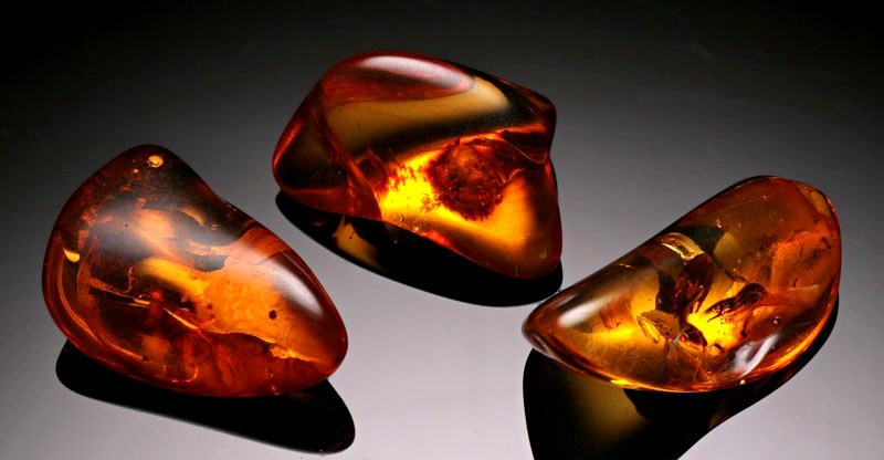 Baltic Amber