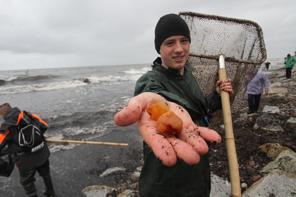 Fishing for amber at the seacoast, Gdańsk, Poland.