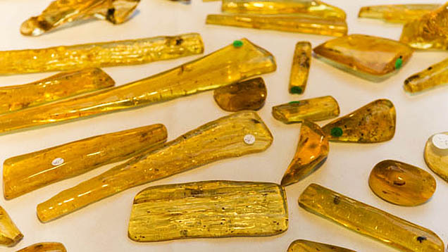 Copal from Madigascar