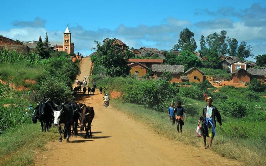 Dọc đường đến Didy là một số ngôi làng Malagasy truyền thống. Ảnh © Vincent Pardieu / GIA.
