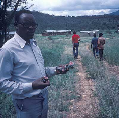 Một thợ mỏ đang cầm viên ruby-in-zoisite tại mỏ Longido, Tanzania. 